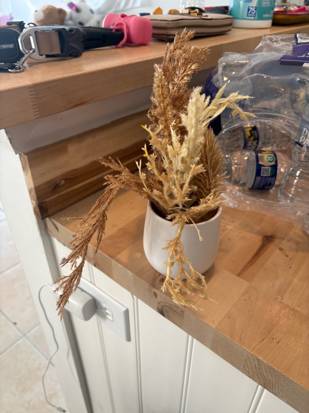 Dried Pampas & Grass Faux Arrangement in White Pot